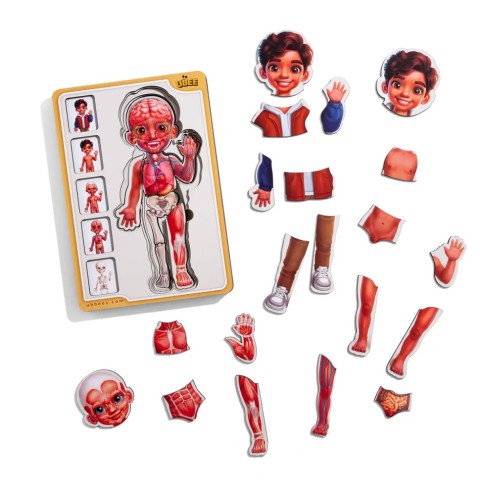 Дерев'яний пазл-вкладиш "Анатомія людини - хлопчик-2" (ПСД261) PSD261 будова тіла