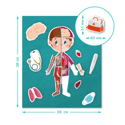 Розвиваюча магнітна гра "Людське тіло" DoDo 200220