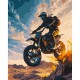 Картина за номерами "Мотоекстрім" 12511-AC 40x50 см