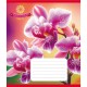 Зошит учнівський "Орхідея" 036-570137K-5 в клітинку, 36 аркушів
