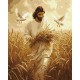 Картина за номерами "Жнива віри" KHO8532, 40х50 см