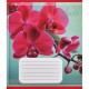Зошит учнівський "Орхідеї" 018-530261K-5 в клітинку, 18 аркушів