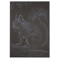 Гравюра А5 "Білочка" ГрА5с-22 економ варіант у пакеті 21 х 14,8 см