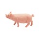 Ігрова фігурка серії Домашні тварини "Свиня" N588-2-12, 12,5 см