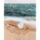 Картина за номерами "Фігура на узбережжі" © Lana Musienko BS37562, 40x50 см