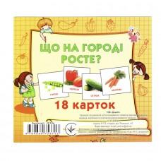 Розвиваючі картки для дітей Що росте на городі J018y, 18 картинок