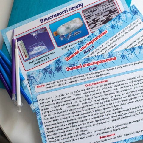 Дидактичний матеріал "Зимові спостереження" 13107147, 16 карток