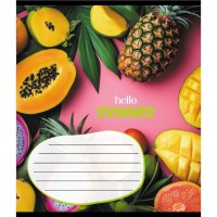 Зошит учнівський "Фруктовий сет" 018-530414K-1 в клітинку, 18 аркушів