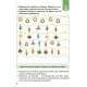 Адвент з поробками та завданнями "Новорічні дива власноруч" АДВ006, 4-6 років Адвент з поробками та завданнями "Новорічні дива власноруч" АДВ006, 4-6 років