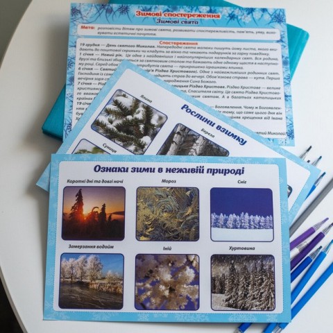 Дидактичний матеріал "Зимові спостереження" 13107147, 16 карток