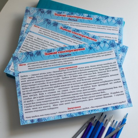 Дидактичний матеріал "Зимові спостереження" 13107147, 16 карток