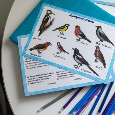 Дидактичний матеріал "Зимові спостереження" 13107147, 16 карток