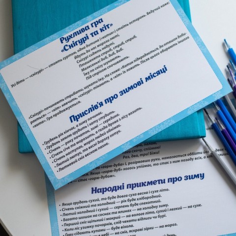 Дидактичний матеріал "Зимові спостереження" 13107147, 16 карток