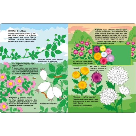 Розвиваючий зошит "Рожева книга про квіти" 15209 з наліпками
