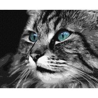 Картина за номерами "Смарагдові очі" KHO4386 40х50 см