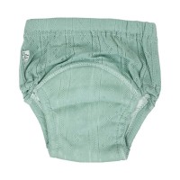 Тренувальні трусики однотонні 5-шарові MGZ-0665(Torquoise) розмір S (9-11 кг)