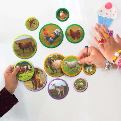 Дитячий магнітний набір Монтесорі "Родини тварин: ферма" DoDo Toys 200271, 36 елементів