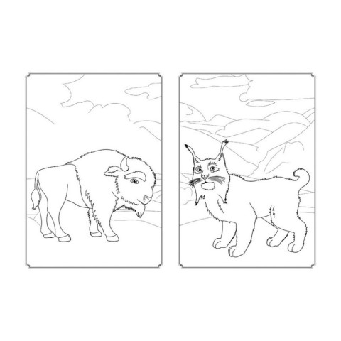 Розмальовка Магія кольору. Всесвіт Мавки Ранок 1807001 з наклейками