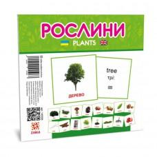 Розвиваючі дитячі картки Рослини 145596 українською та англійською