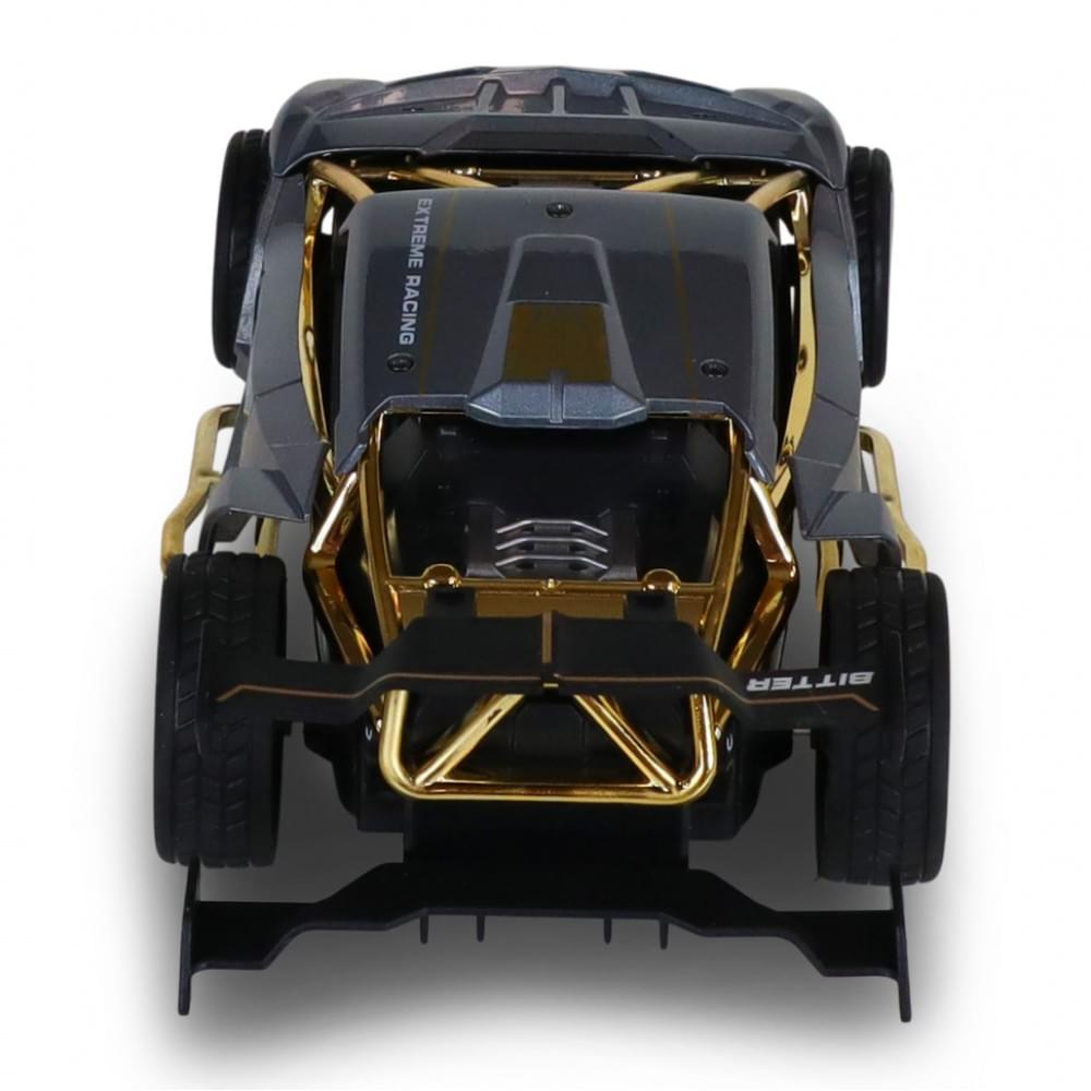 Машинка на радіокеруванні "Extreme Ricing" SL-8212ARHS, світло