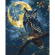 Картина за номерами "Хранитель зоряного світла" 11722-AC 40х50 см