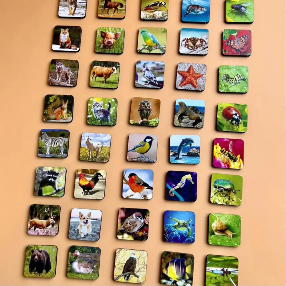 Настільна розвиваюча гра "Види тварин" Ubumblebees (ПСФ110) PSF110 комодик-сортер