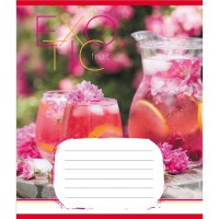 Зошит учнівський "Екзотичні фрукти" 048-590098K-2 в клітинку, 48 аркушів