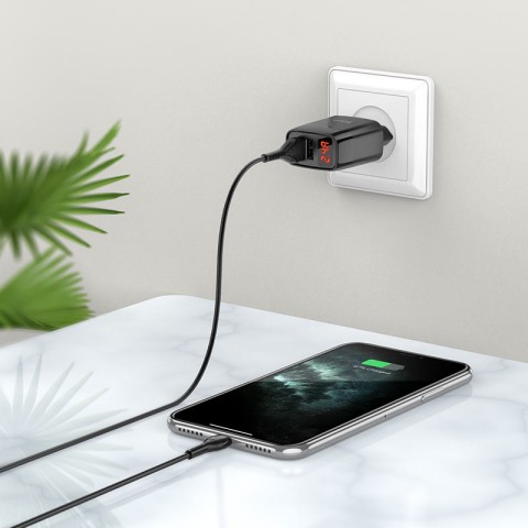 МЗП HOCO C86A (2USB/2.4A) + MicroUSB Чорний