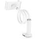 Регульована підставка для телефону/планшета Hoco HD10 Bamboo lazy stand White