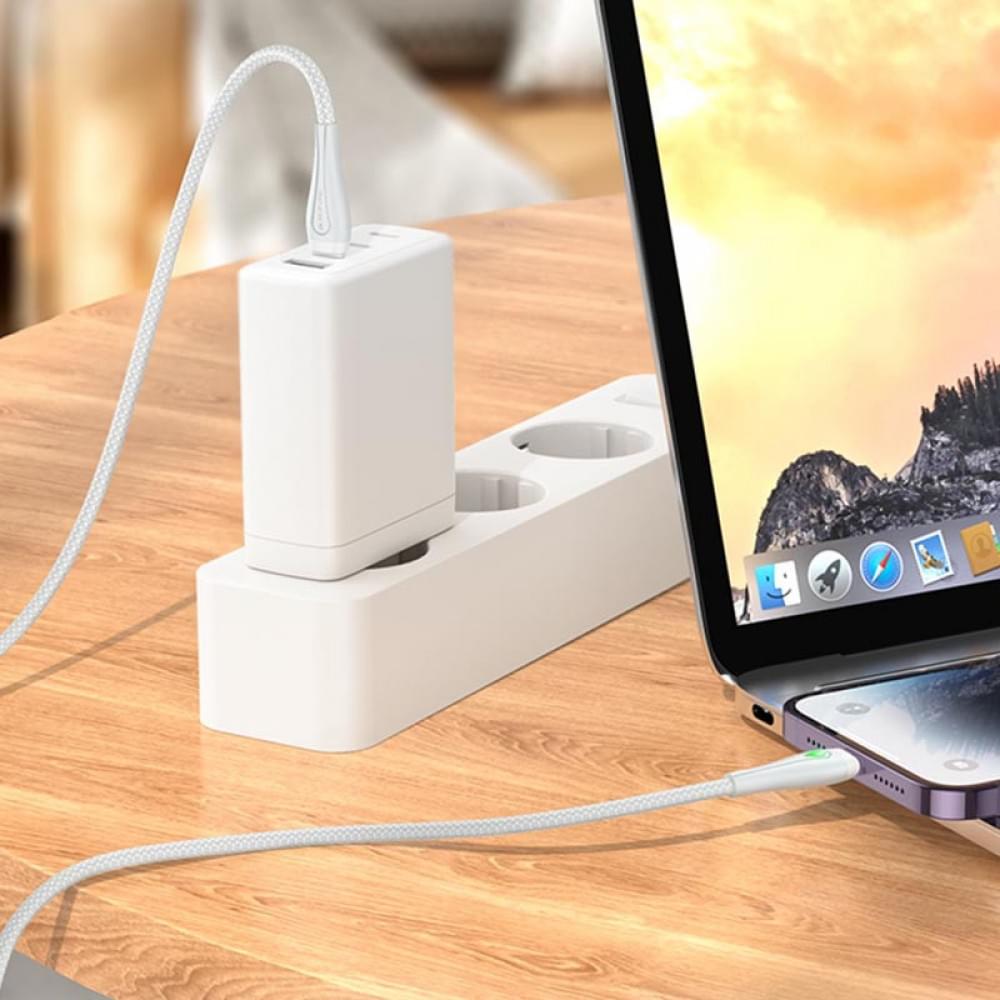 Дата кабель Borofone BX100 Advantage 27W Type-C to Lightning (1m) Gray