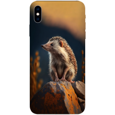 TPU чехол Demsky Їжак (hedgehog) для Apple iPhone x