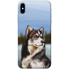 TPU чехол Demsky Wolf для Apple iPhone X (5.8")