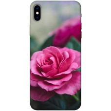 TPU чохол Demsky Роза в саду для Apple iPhone XS Max (6.5")