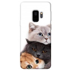 TPU чохол Demsky Три кота для Samsung Galaxy S9