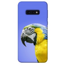 TPU чохол Demsky Попугай ара для Samsung Galaxy S10e