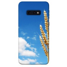 TPU чохол Demsky Пшеница для Samsung Galaxy S10e