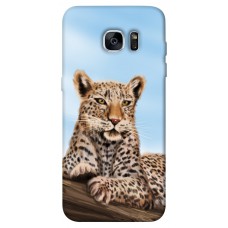 TPU чохол Demsky Proud leopard для Samsung G935F Galaxy S7 Edge