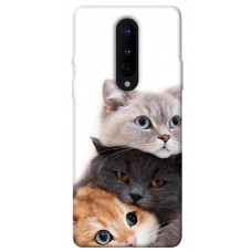 TPU чохол Demsky Три кота для OnePlus 8