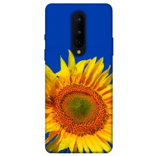 TPU чехол Demsky Sunflower для OnePlus 8