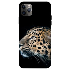 TPU чехол Demsky Leopard для Apple iPhone 12 Pro Max (6.7")