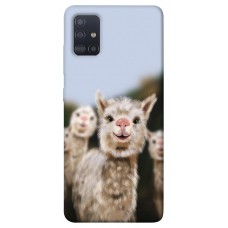 TPU чохол Demsky Funny llamas для Samsung Galaxy M51