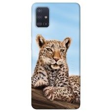 TPU чохол Demsky Proud leopard для Samsung Galaxy M51