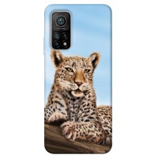 TPU чехол Demsky Proud leopard для Xiaomi Mi 10T