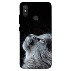 TPU чохол Demsky Cute cat для Xiaomi Mi 8