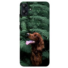 TPU чохол Demsky Собака в зелени для Samsung Galaxy A04e