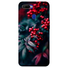 TPU чохол Demsky Red berry для Oppo A5s / Oppo A12