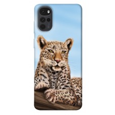 TPU чехол Demsky Proud leopard для Motorola Moto G22