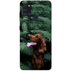 TPU чохол Demsky Собака в зелени для Samsung Galaxy A21s