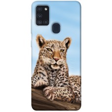 TPU чохол Demsky Proud leopard для Samsung Galaxy A21s