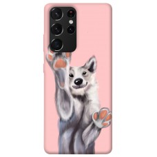 TPU чехол Demsky Cute dog для Samsung Galaxy S21 Ultra